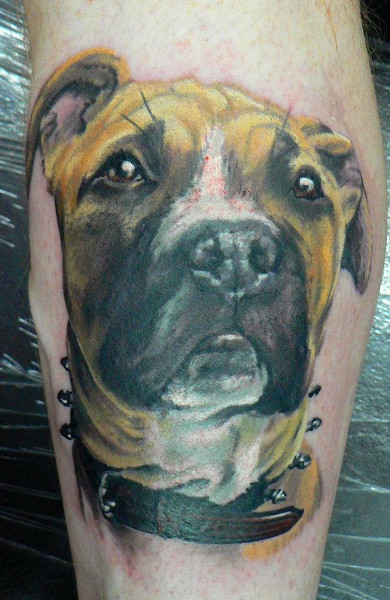 эскиз татуировка собака