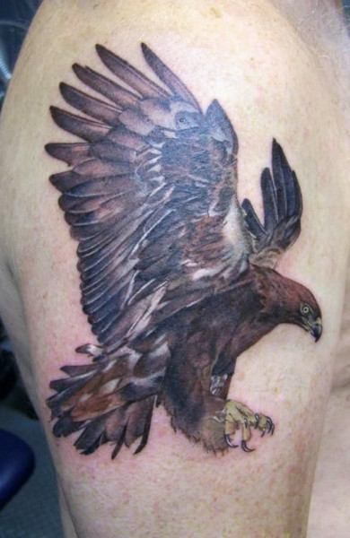 эскиз татуировка орел