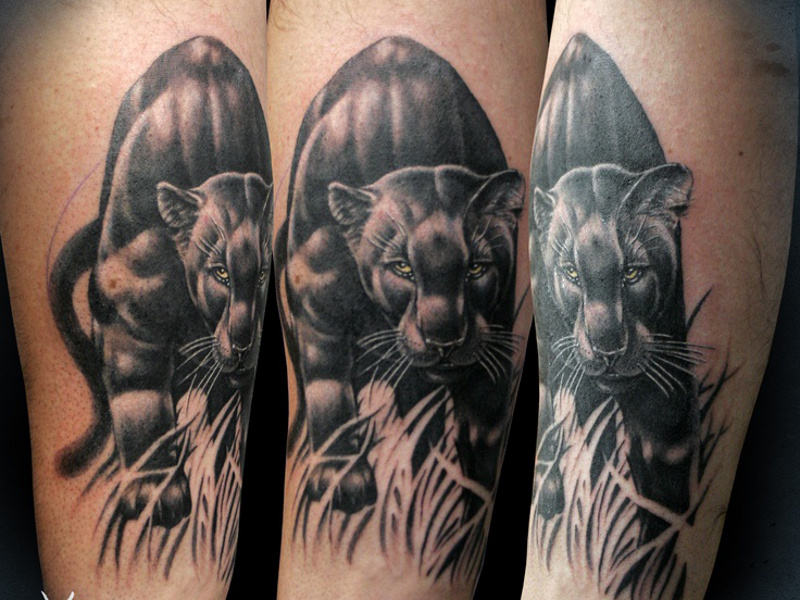 Татуировка пантера