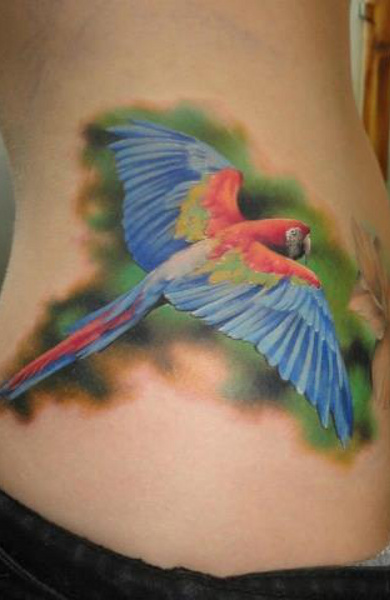 parrot 022