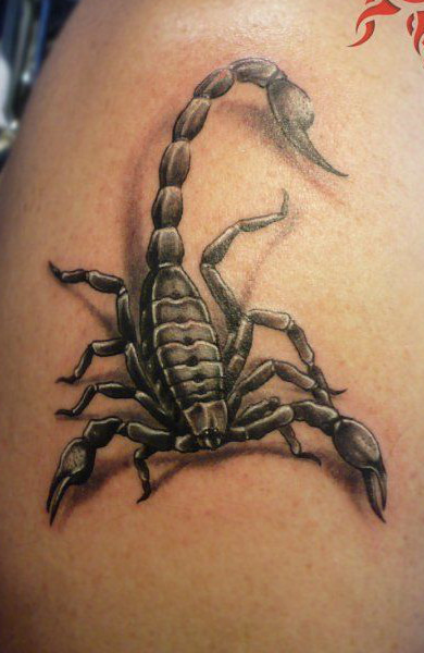 Татуировка знак зодиака скорпион