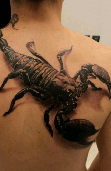 Эскиз татуировки скорпион