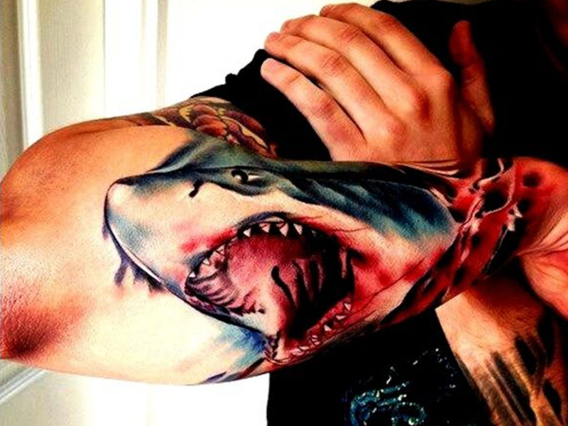 фото татуировка акула