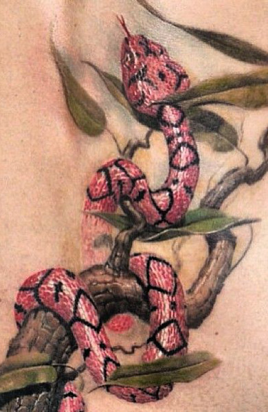 Эскиз татуировки змея