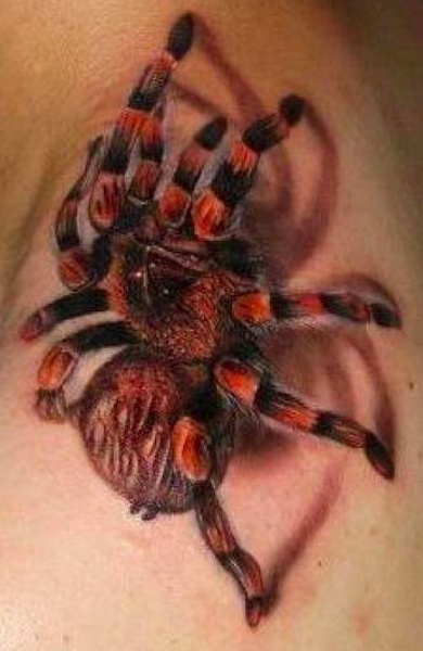 Татуировка тарантул