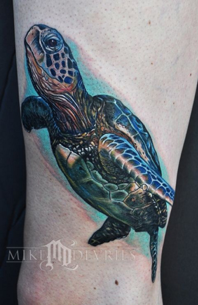 эскиз татуировка черепаха